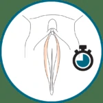 icon-labia