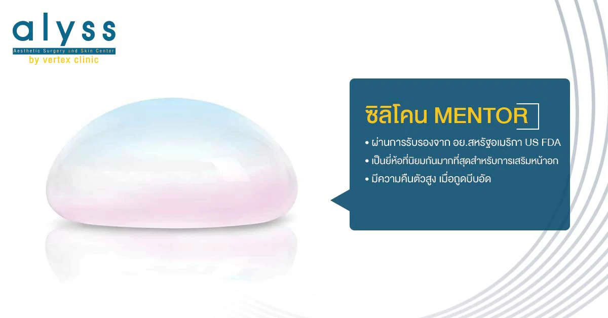 ซิลิโคน-MENTOR